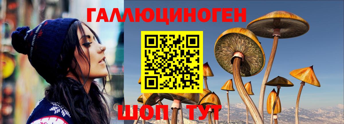 Псилоцибиновые грибы ЛСД  Вход с VPN  хочу наркоту  Ачинск 